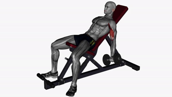 Incline Dumbbell Curls Preview